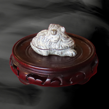 画像をギャラリービューアに読み込む, 唐津焼 寅香合 粉引唐津 三代中野霓林作