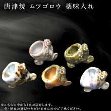 画像をギャラリービューアに読み込む, 唐津焼 ムツゴロウ 薬味入れ 置物 かわいい 食器 陶器