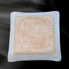 画像をギャラリービューアに読み込む, 唐津焼 絵唐津梅正方形陶板 工芸品 陶器 陶板 角皿 盛り皿 飾り皿 梅 ギフト 贈り物