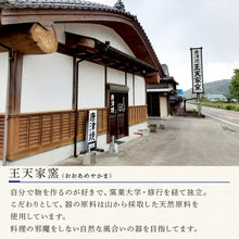 画像をギャラリービューアに読み込む, 唐津焼 朝鮮唐津平深皿 食器 うつわ 器 おしゃれ ギフト